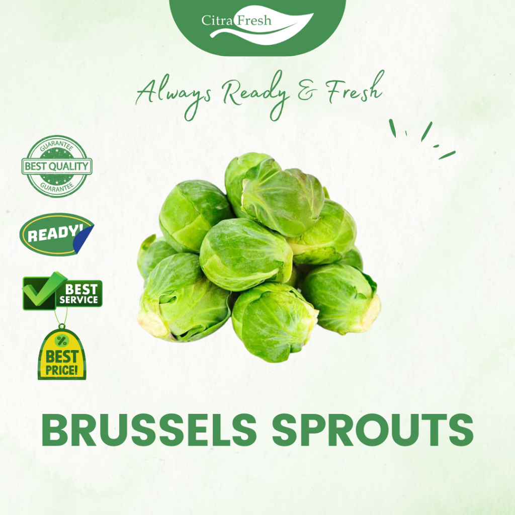 

CITRA FRESH - Brussels Sprouts 500 Gram - Selalu Ready dan Fresh