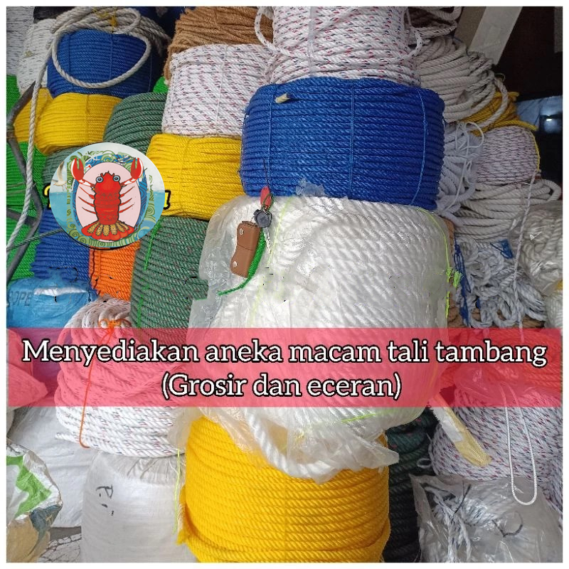 

TALI LATO TAMBANG 1.0MM-2.5MM/TAMBANG KECIL 1.0MM-2.5MM PANJANG +-150METER MURAH