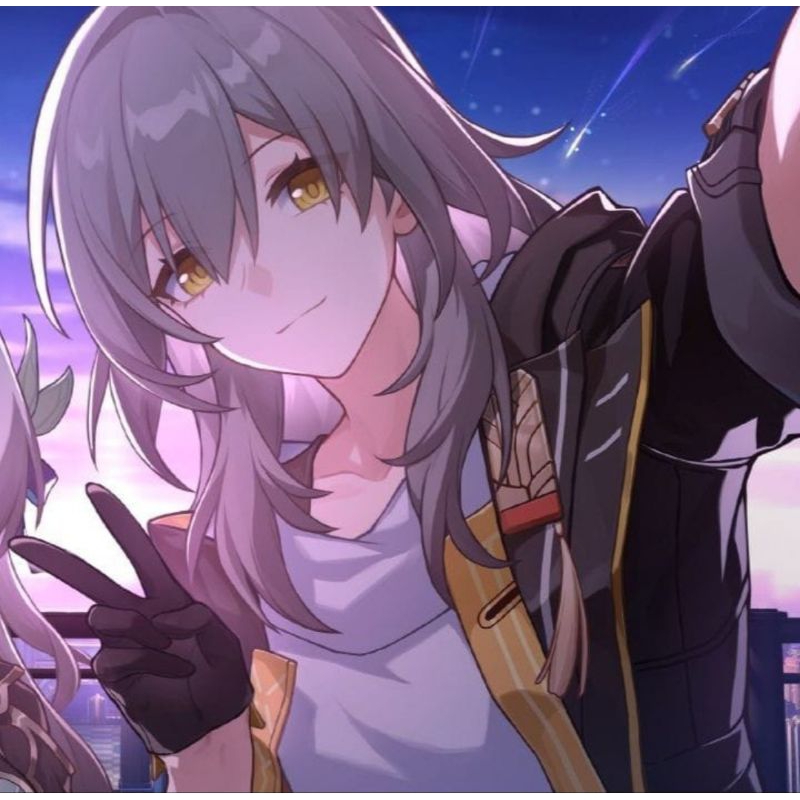 WTS stelle honkai star rail costume cosplay