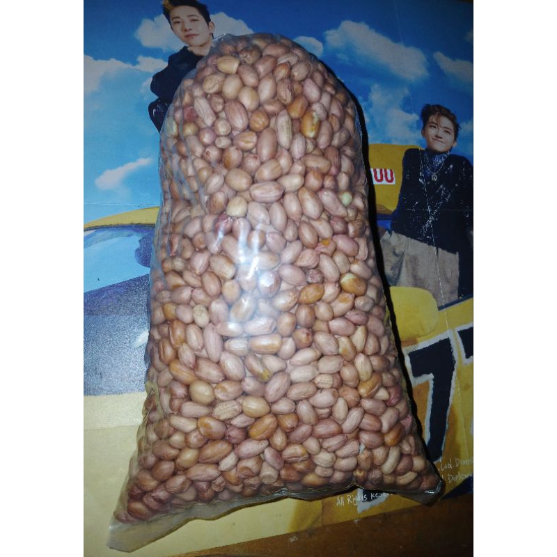 

Kacang Tanah