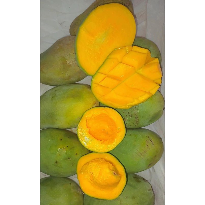 

Mangga Harum Manis