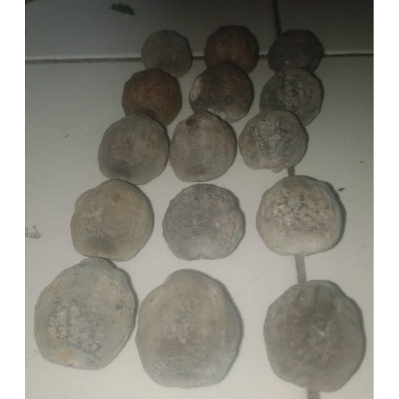 Muncang Aduan Mayit JR