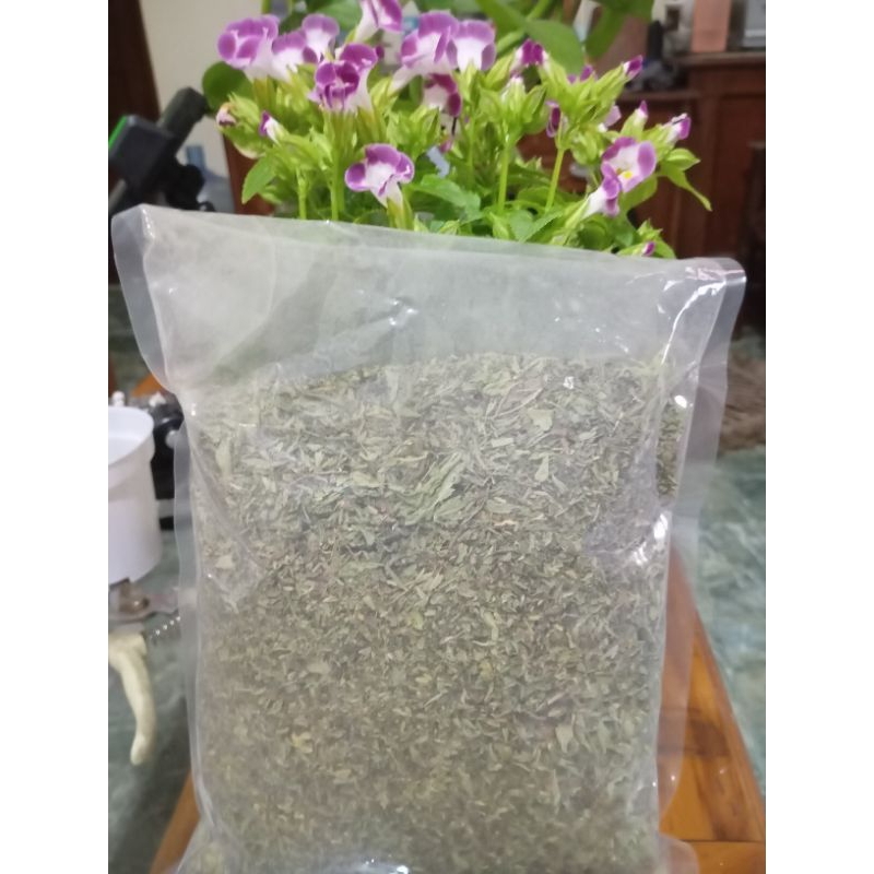 

Daun stevia kering dan Bibit stevia. Teh stevia pengganti gula
