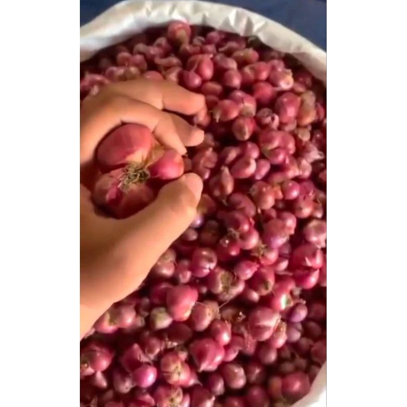 

Bawang merah brebes 1kg 30,000-28.000