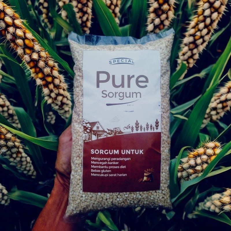 

[SUDAH DIKUPAS] Sorghum, sorgum, gandrung, Cantel, beras untuk diabetes dan diet [1kg] Gluten Free