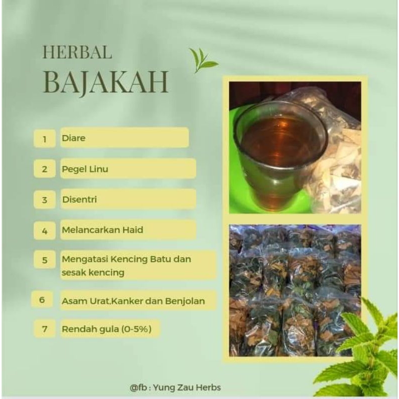 

HERBAL BAJAKAH