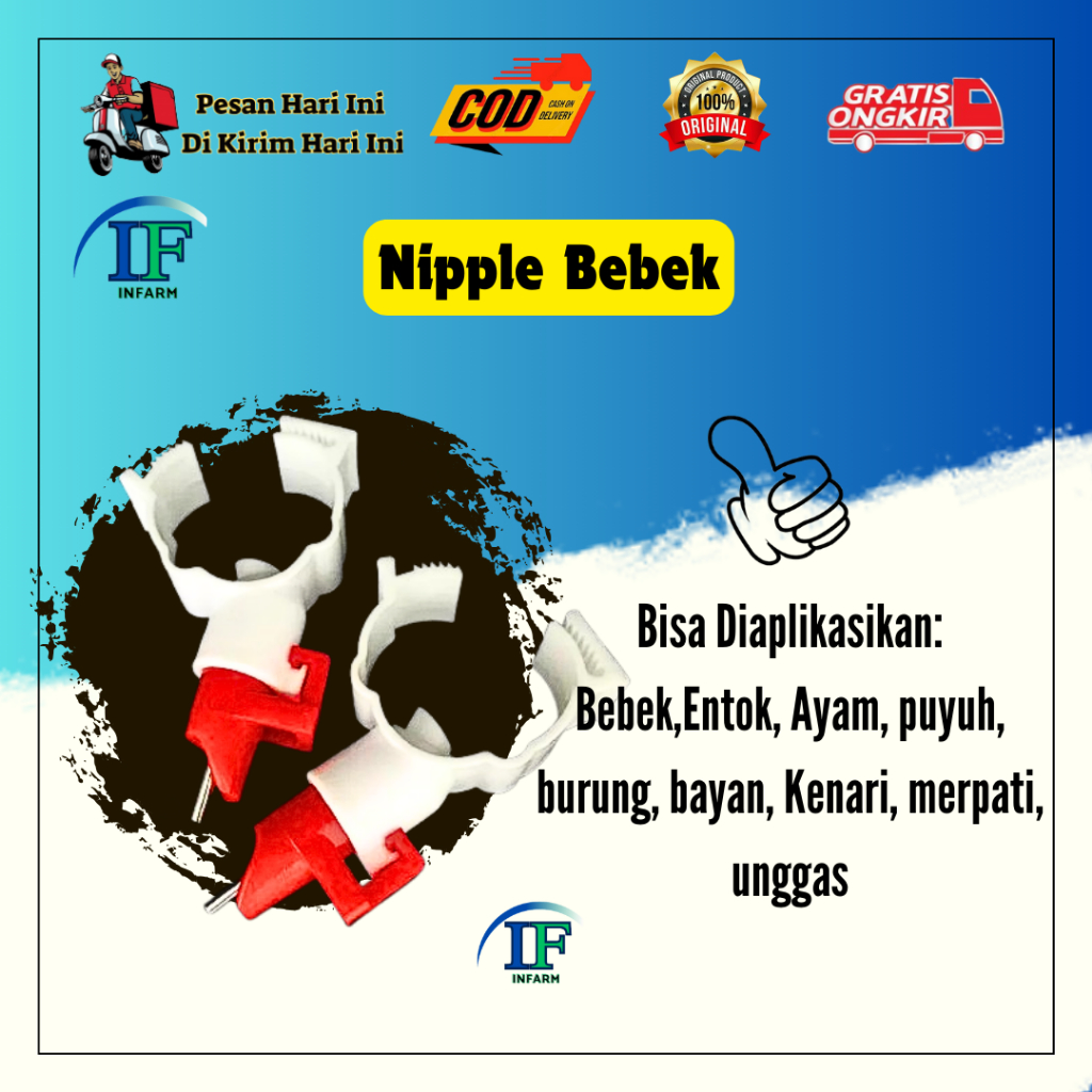 Nipel Nipple Bebek CK1 Alat Minum Nipple Nipel Nepel Bebek INNFARM