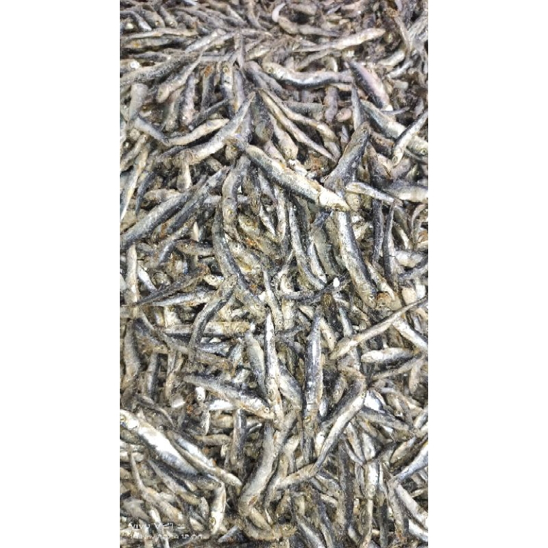 

ikan asin teri batu per 100gr