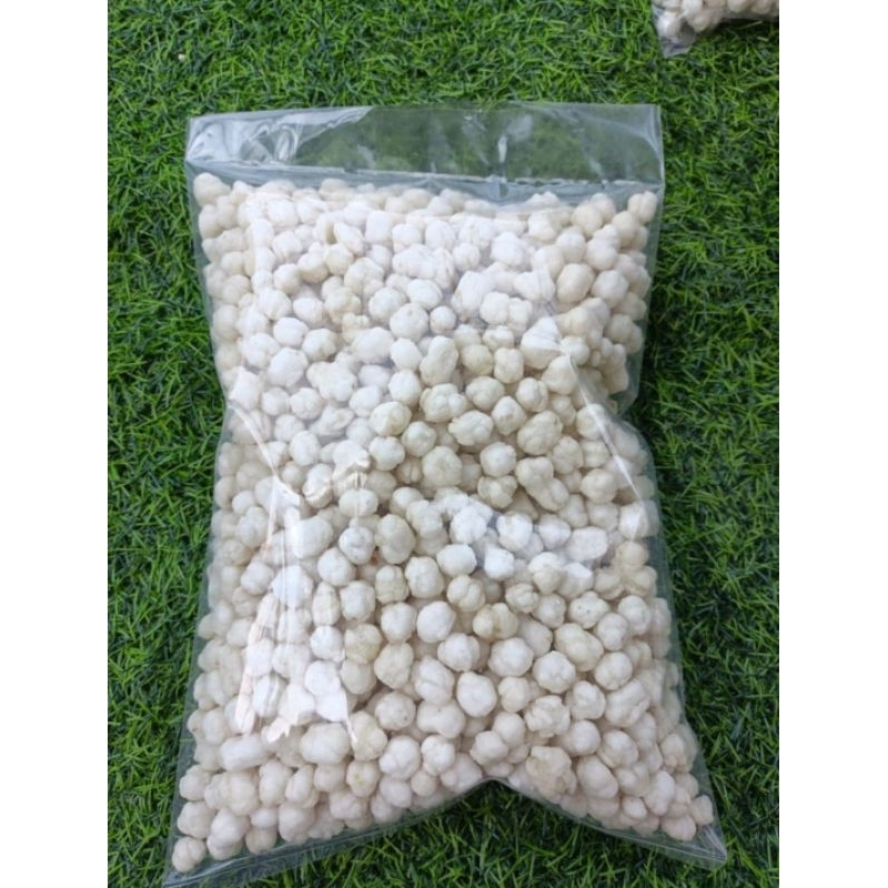 

pilus cikur SR berat bersih 1kg Rp.27000