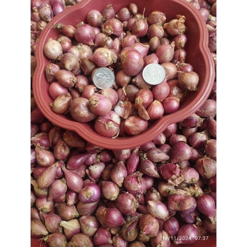

Bawang merah lokal superan 1kg