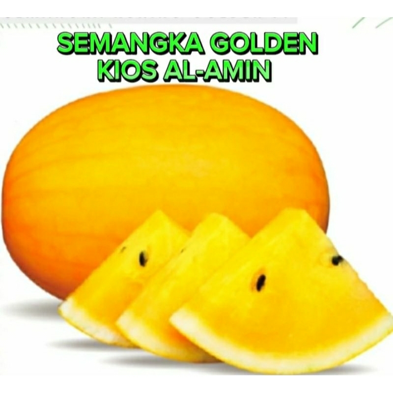 BIBIT SEMANGKA GOLDEN beli 100 seeds  gratis 10  seeds
