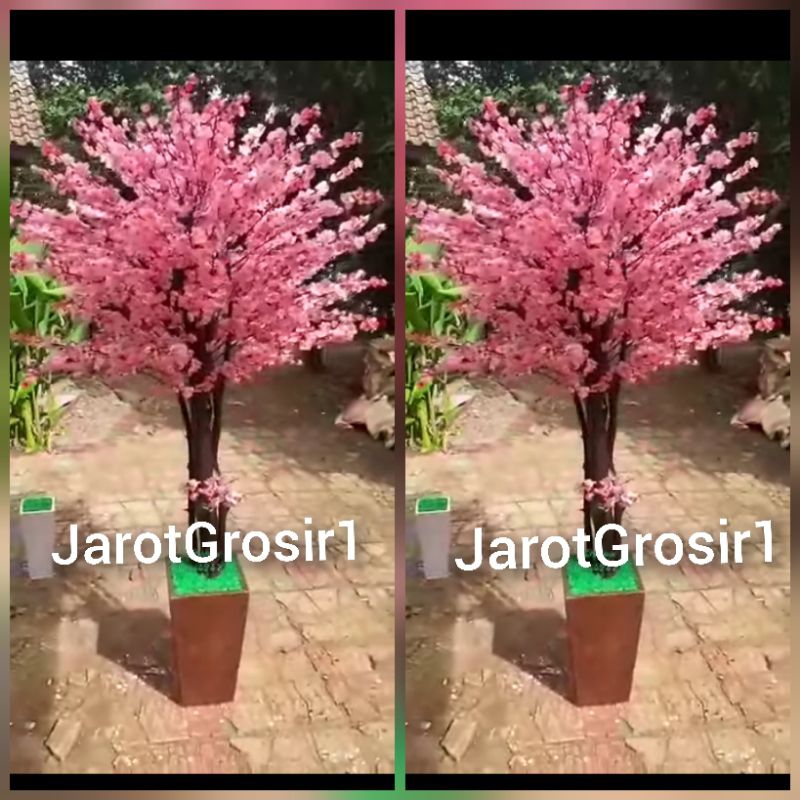 POHON SAKURA PLASTIK JUMBO + VAS TINGGI 175CM // POHON SAKURA IMLEK // POHON SAKURA JAPAN // POHON B