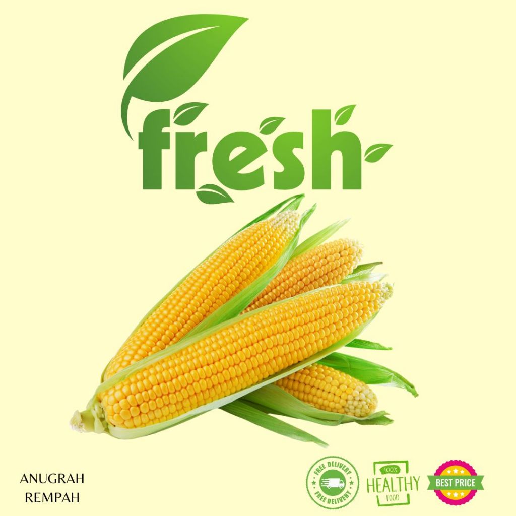 

Jagung Manis 250 gram -500 gram Anugrah Rempah