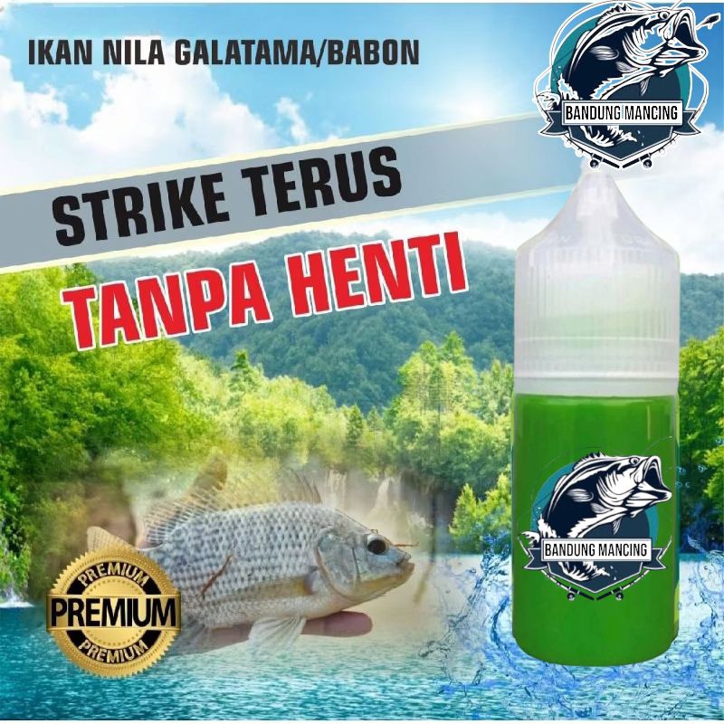 essen khusus ikan nila media lumut,esen pengumpul ikan nila liar,essen ikan nila media cacing,essen 