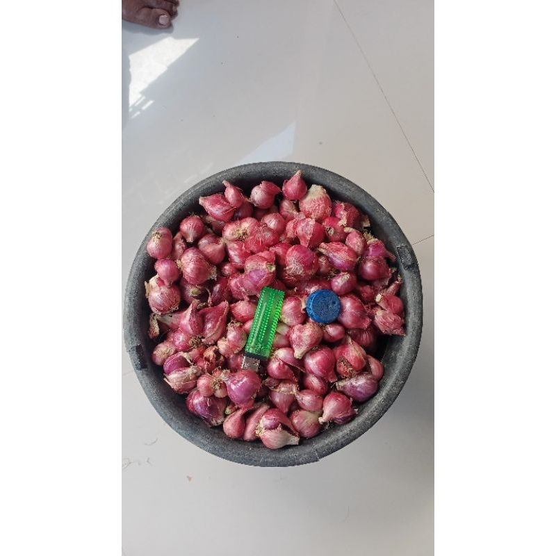 

Bawang Merah Fresh dan kering 250 gr| Bawang merah Brebes | Brambang