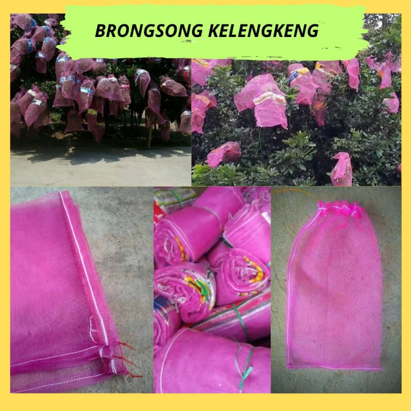 

TERBAGUS.! Bungkus Klengkeng Di Pohon, Bungkus Buah Kelengkeng, Bungkus Buah Lengkeng 10pcs