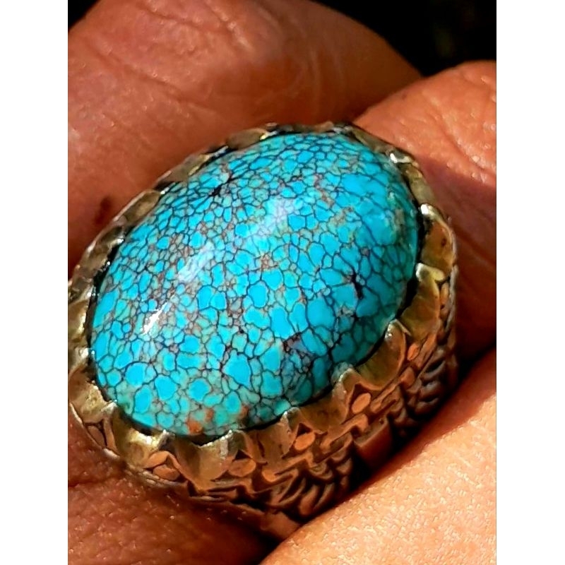 Pirus Persia premium gradasi biru beras wutah HQ size jumbo