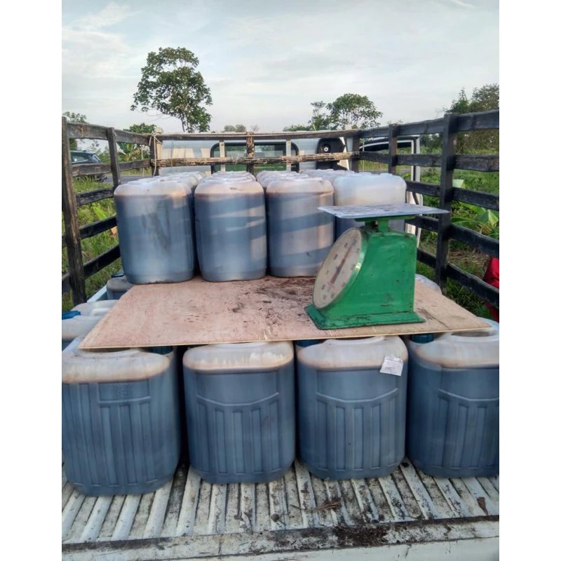 

Madu Akasia Carva Hutan Riau 50 Kg Dumadu (Grosir/Partai)