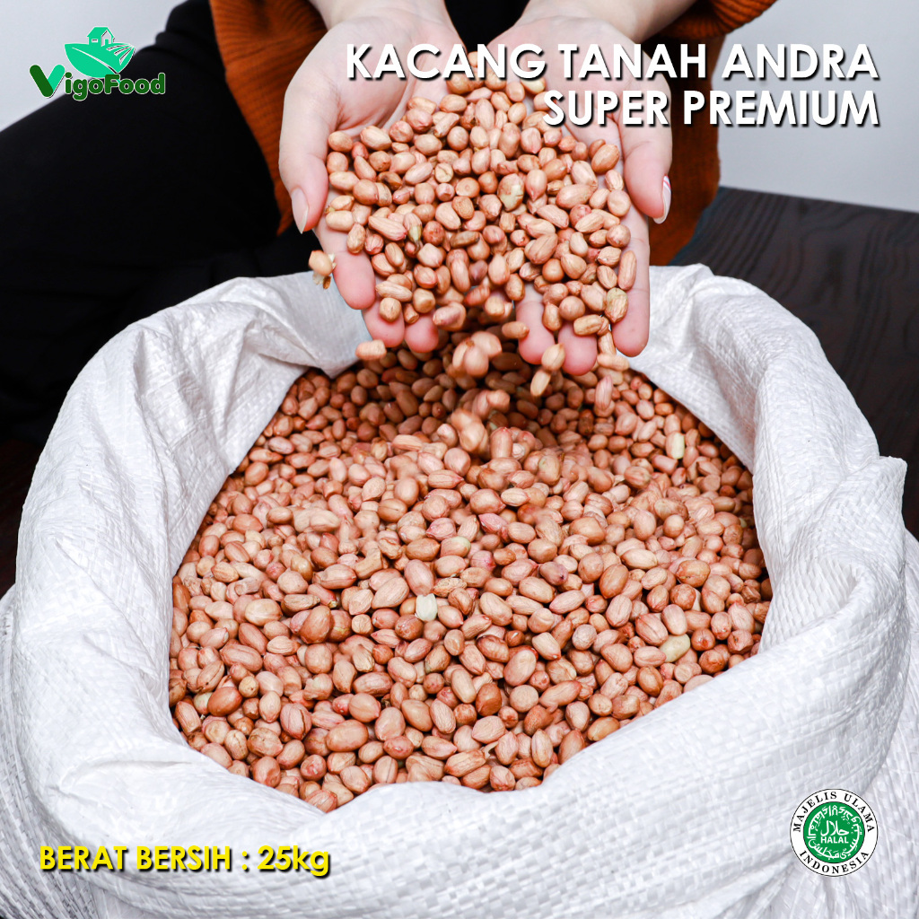 

KACANG TANAH ANDRA GRADE IMPORT BY VIGOFOOD / PEANUTS KEMASAN 1 SAK KARUNG 25KG