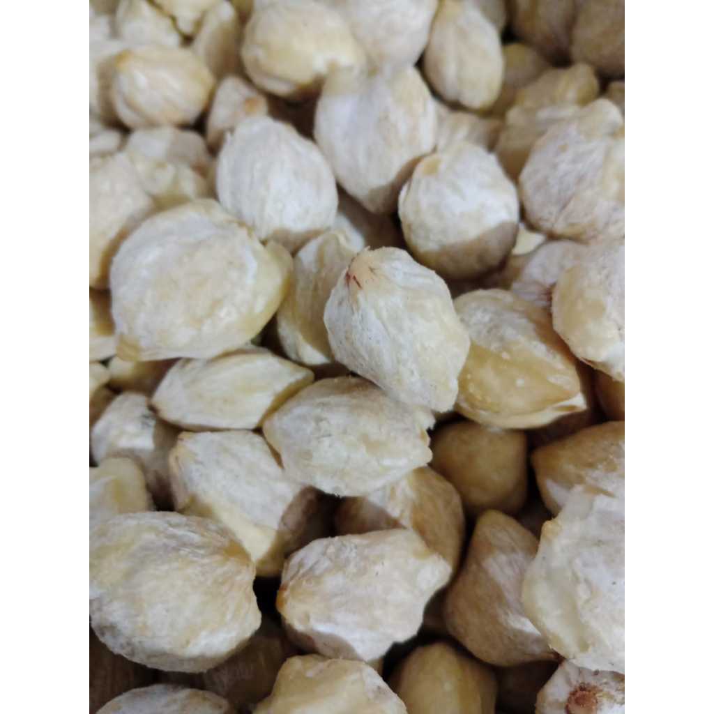 

[TERBAIK] kemiri bulat premium