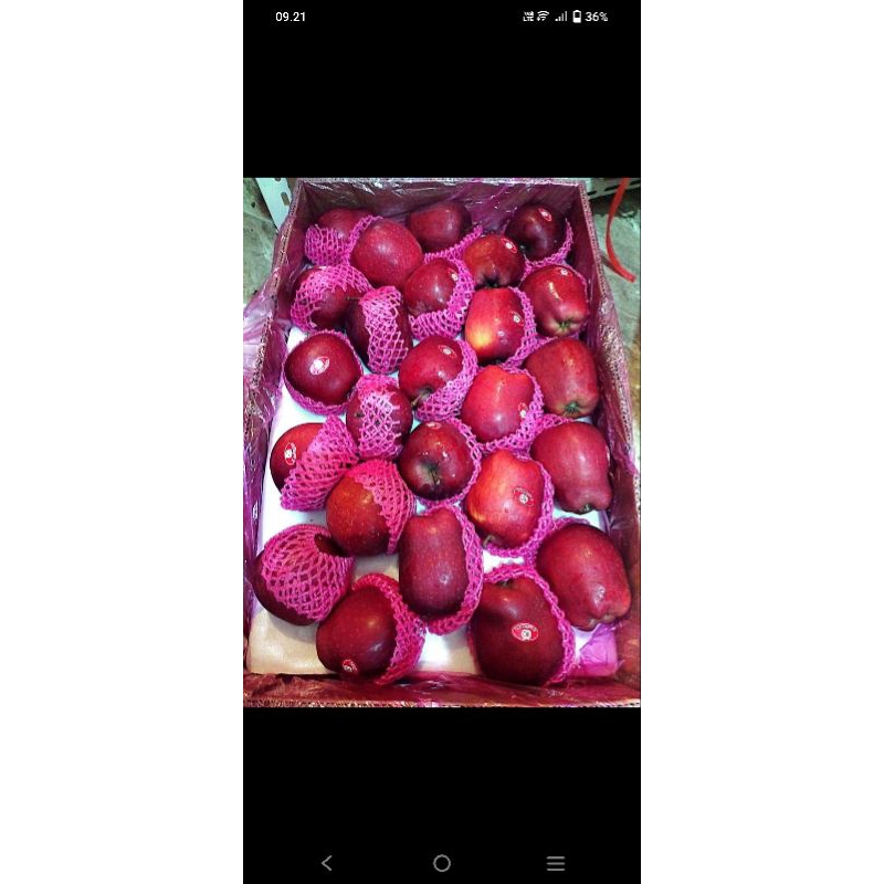 

Apel Merah Fress 1kg