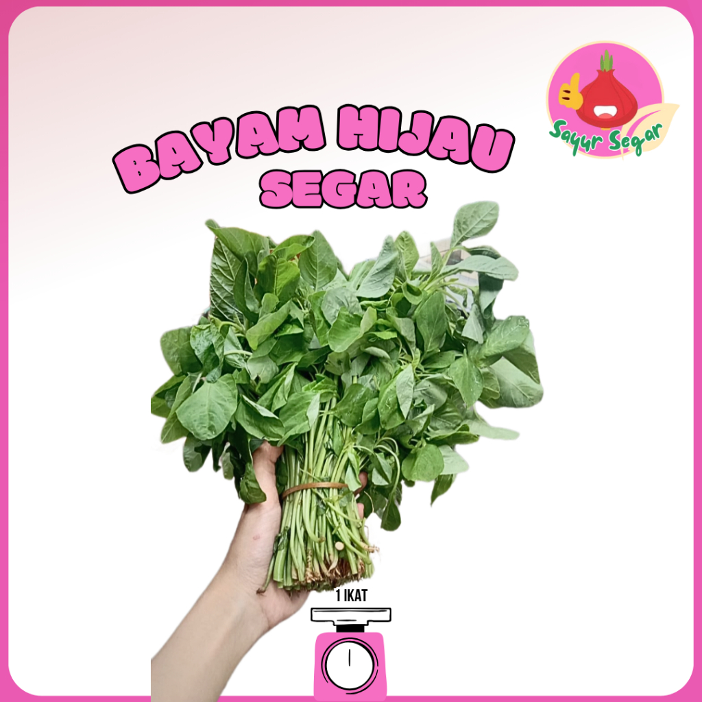 

Sayur Segar - Bayam Hijau Segar / Green Spinach 1 Ikat