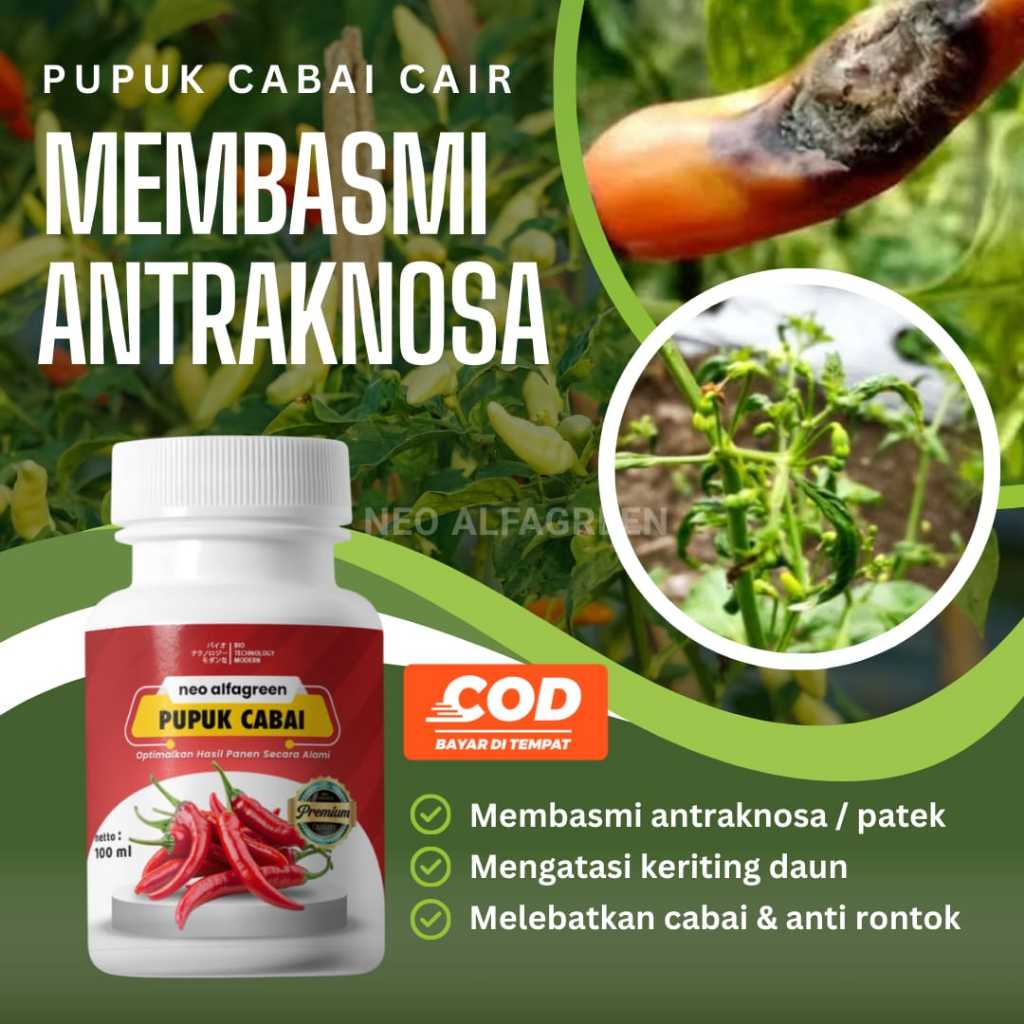 Pupuk Penumbuh Cabai  Pupuk Cabe Berbuah Lebat  Pupuk Nutrisi Cair Cabe  Pupuk Organik Cair Cabai