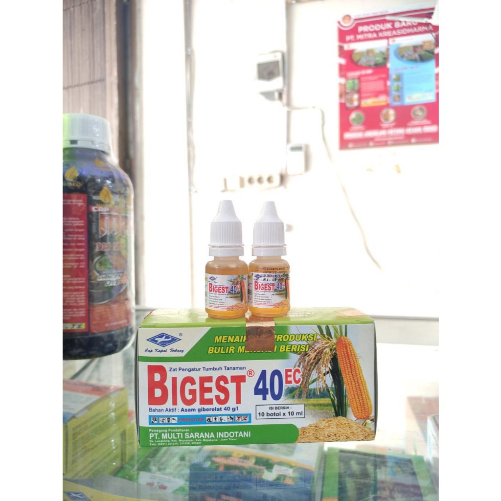 BIGEST 10 ML ZAT PENGATUR TUMBUH / BIGEST 10ML ZPT ORIGINAL