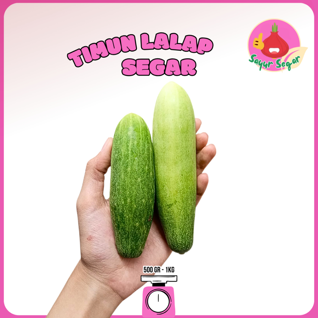

Sayur Segar - Timun Lalap / Cucumber