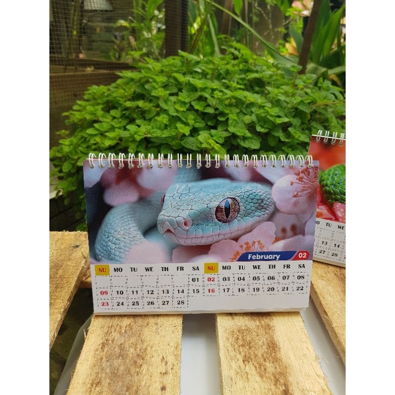 

kalender meja 2025 tahun ular