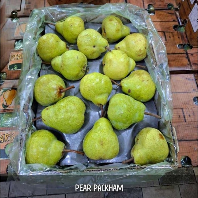 

pir packham