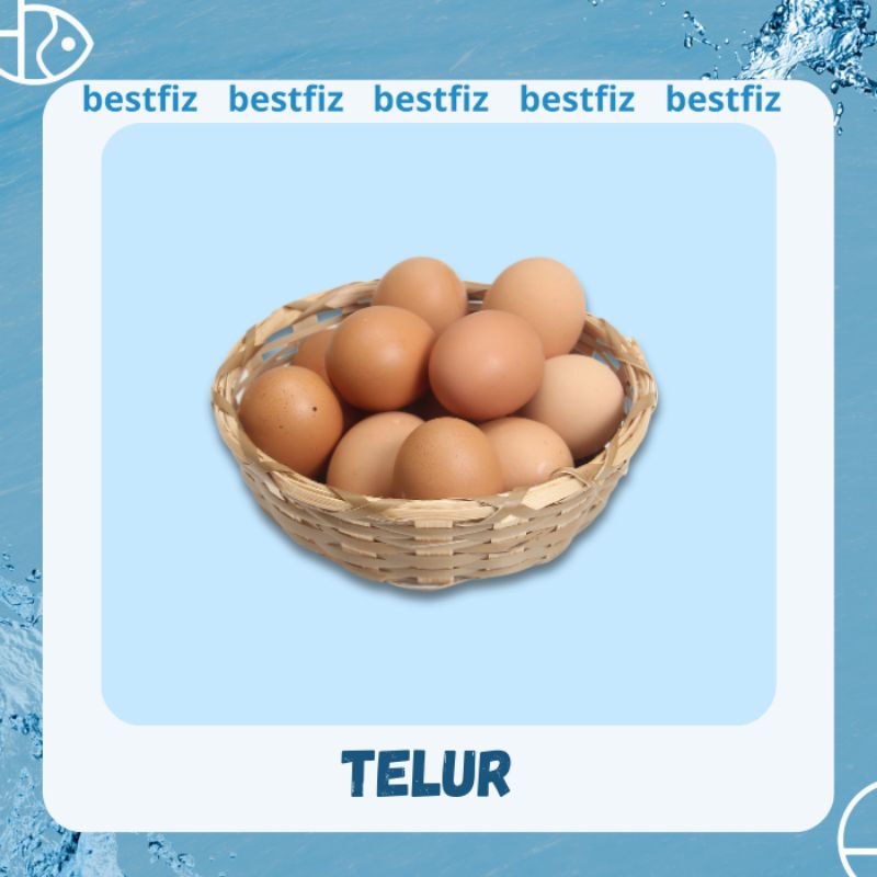 

Telur Ayam