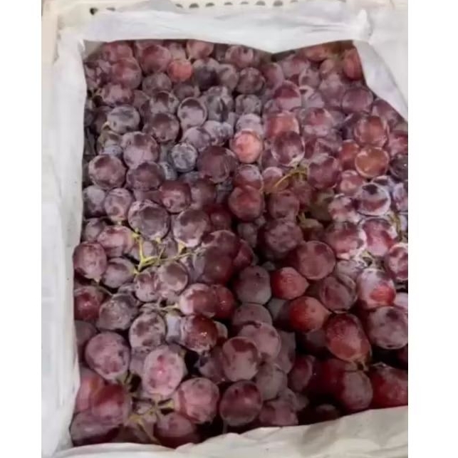 

Anggur Red Globe Fresh Jual Per 1 BOK Krat