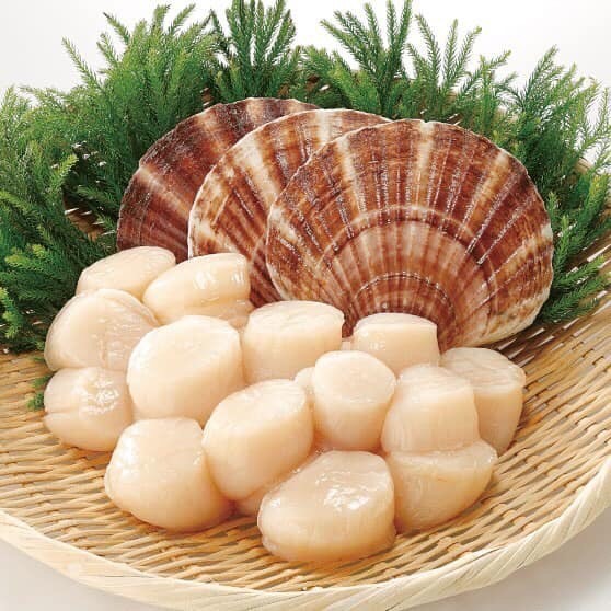 

Scallop Daging Kerang Ukuran 60/80 500g - Festive Frozen Food