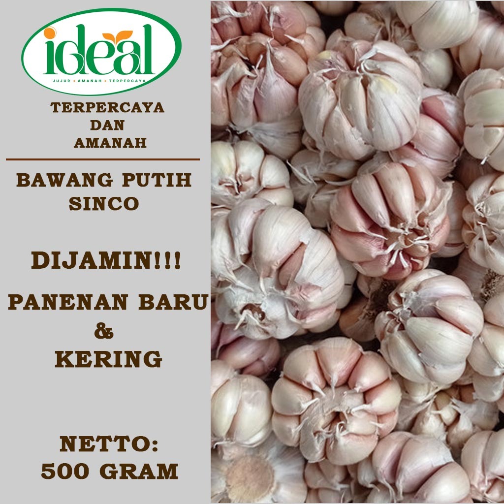 

Bawang Putih Sinco 500 gram Kualitas Terbaik