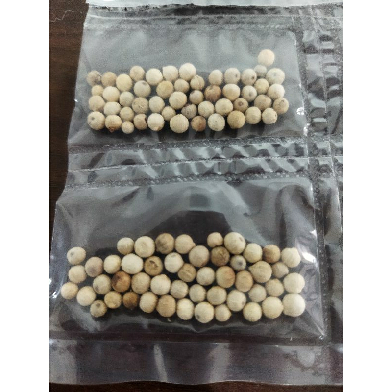 

Merica pedes biji pepper