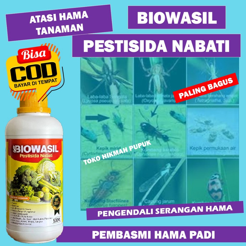 TERLARIS OBAT HAMA ULAT PADI SUNDEP BELUK isi 500 ML BIOWASIL - Obat Hama Padi Terbaik, Obat Premium