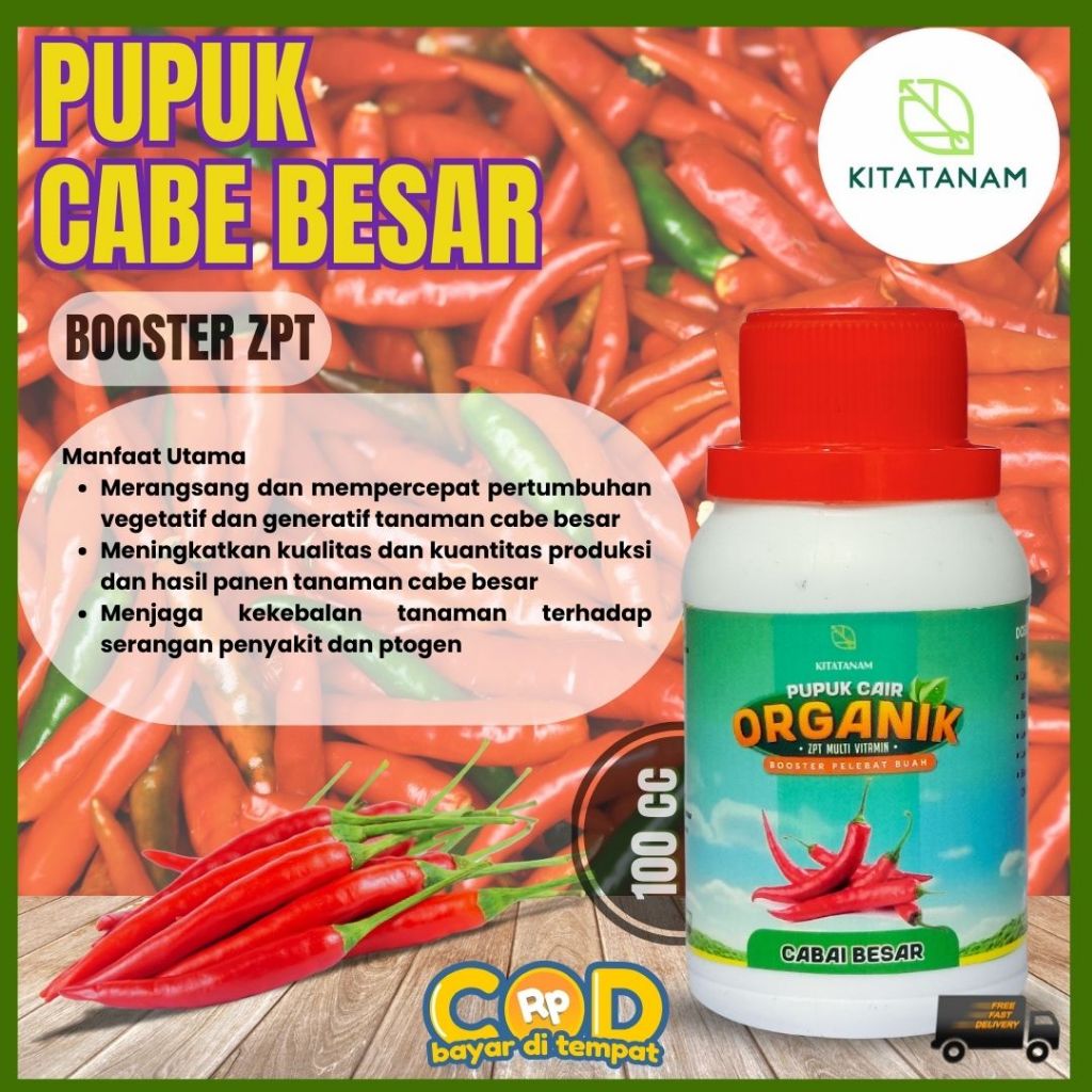 Pupuk Cabe Besar terbaik, obat Cabe Besar biar buah lebat, Pupuk penyubur daun dan buah, Kitatanam