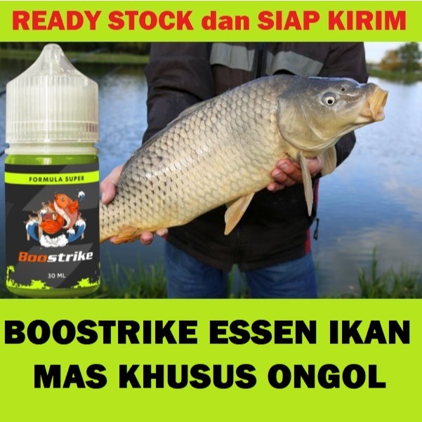 BOOSTRIKE ESSEN IKAN MAS KHUSUS ONGOL