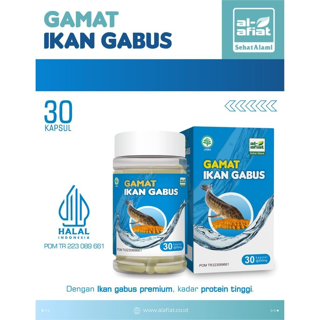 GAMAT IKAN GABUS Al Afiat - Kapsul Ekstrak Gamat Teripang dan Ekstrak Ikan Gabus Albumin 30 kps
