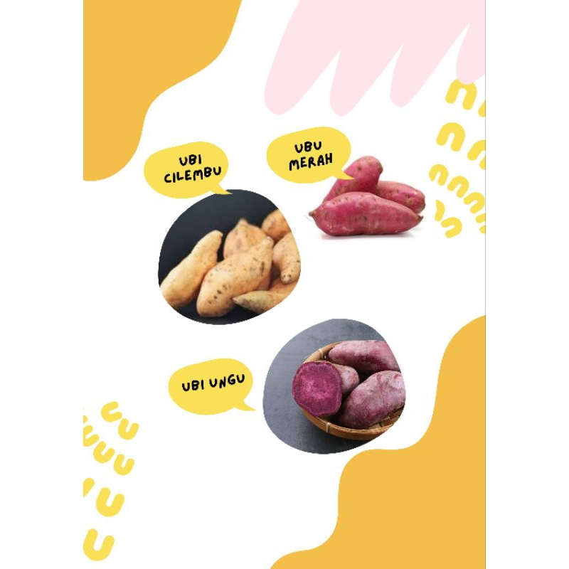 

Cod ubi cilembu ubi jalar ubi madu ubi ungu ubi kulit merah