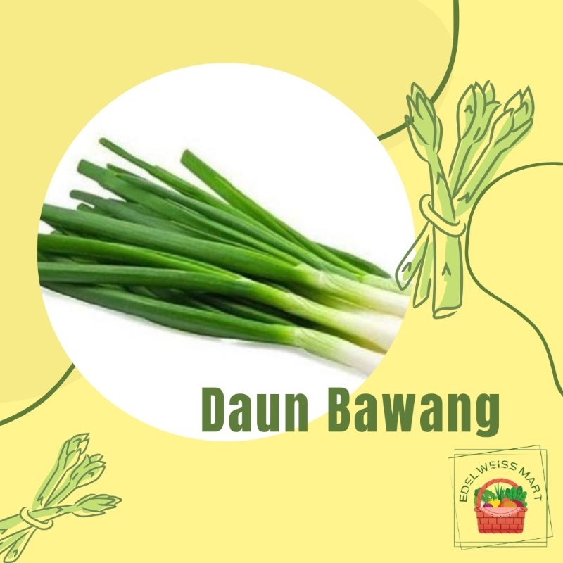 

DAUN BAWANG/SELEDRI/ONCLANG 100g (FRESH) - INSTANT SEMARANG