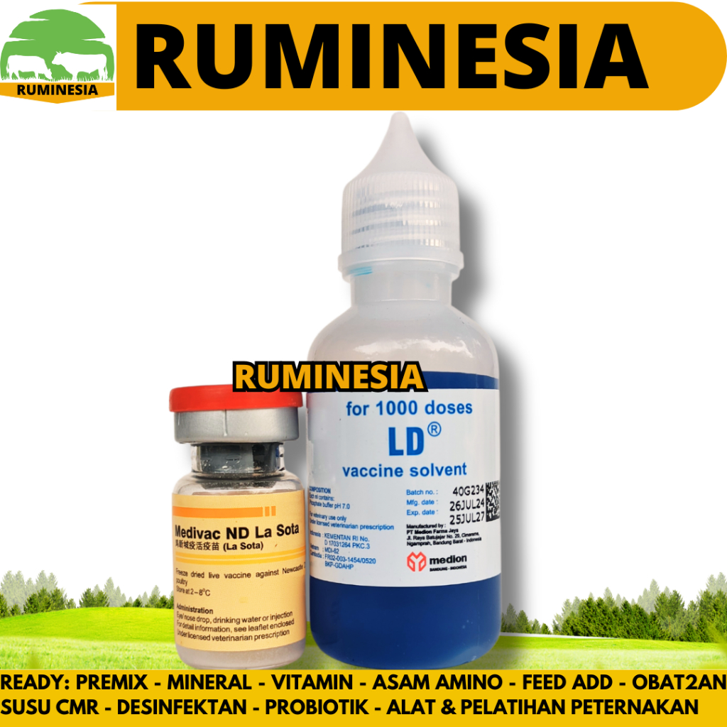VAKSIN ND LASOTA DOSIS 1000 EKOR + PELARUT MEDIVAC MEDION - Vaksin Ayam Tetes Mata Nd Lassota Tetelo