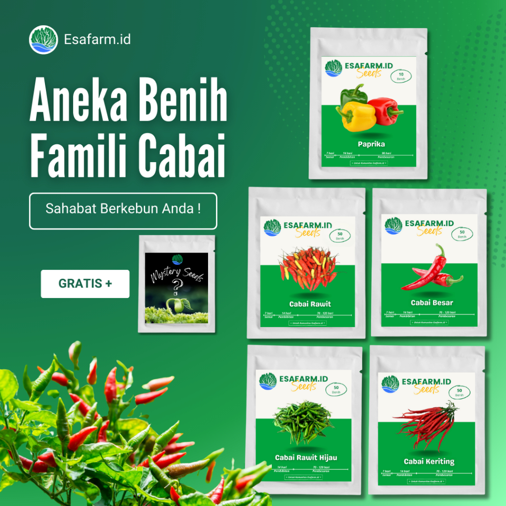 ESAFARM.ID Aneka Benih Cabai, Cabai Rawit, Cabai Hijau, Cabai Besar, Cabai Keriting, Paprika
