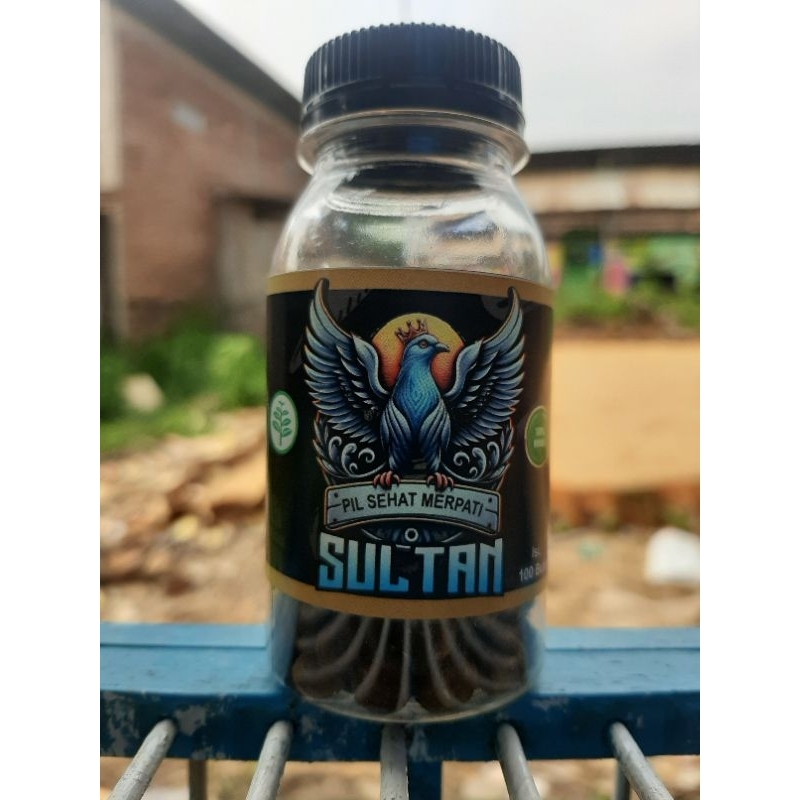 jamu merpati sultan | merpati kolong | merpati kolong bebas
