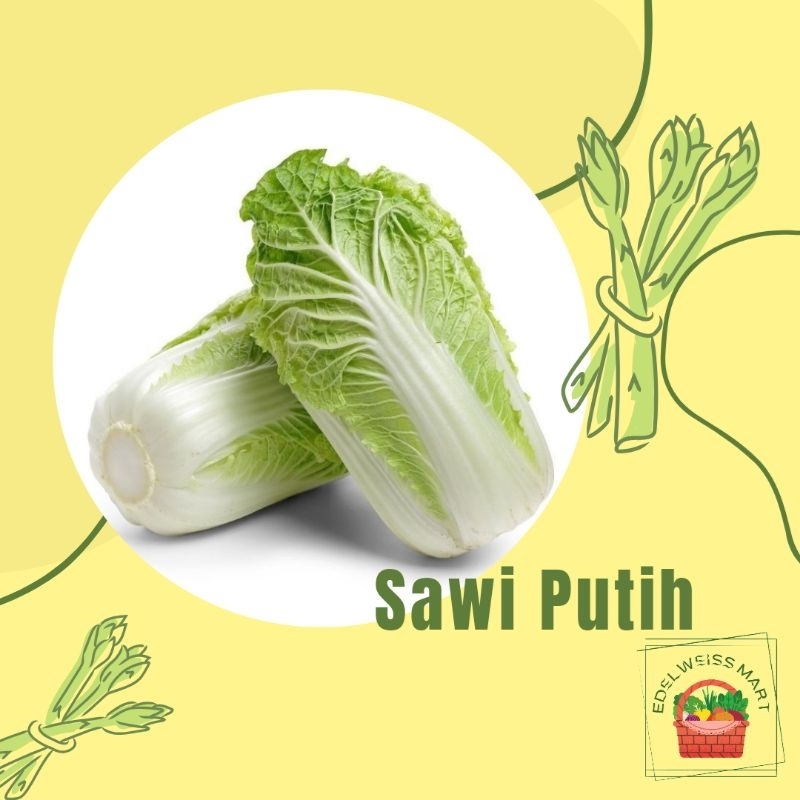 

SAWI PUTIH +-500g (FRESH) - INSTANT SEMARANG