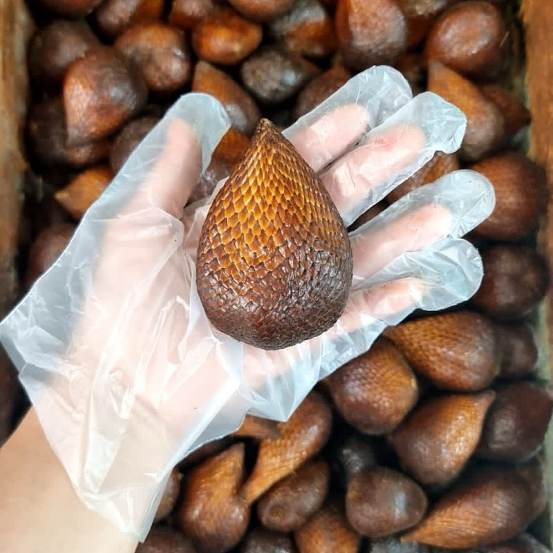 

Salak Pondoh Besar Manis 1 Kg