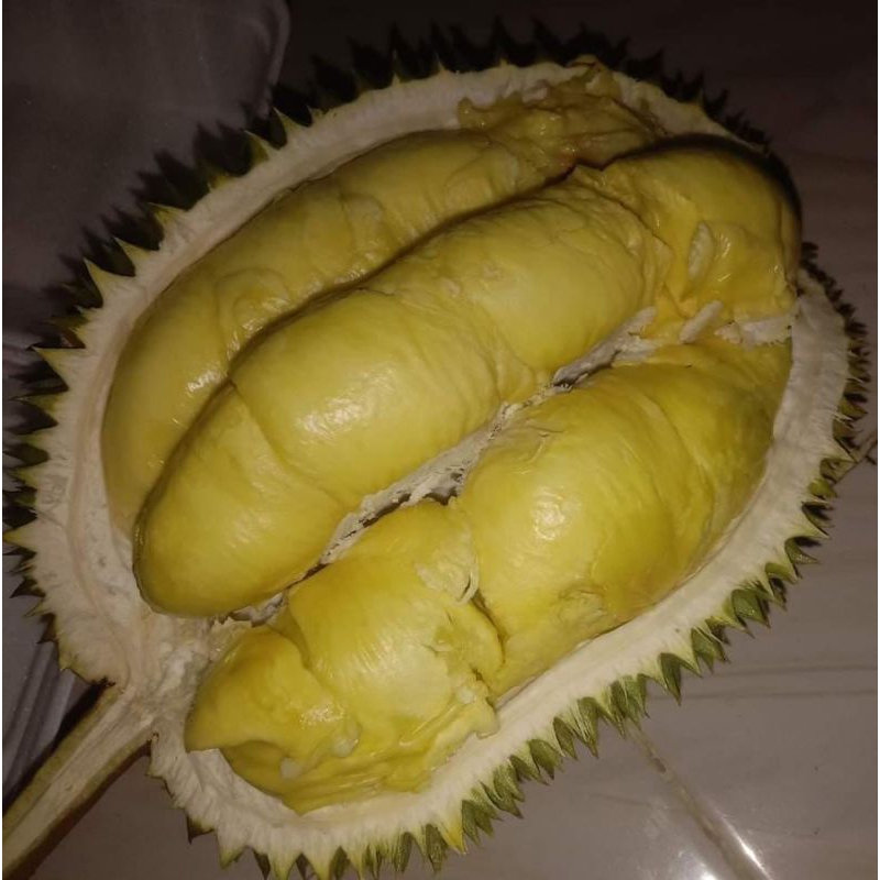 

Durian Lokal Mentega Matang Pohon Utuh