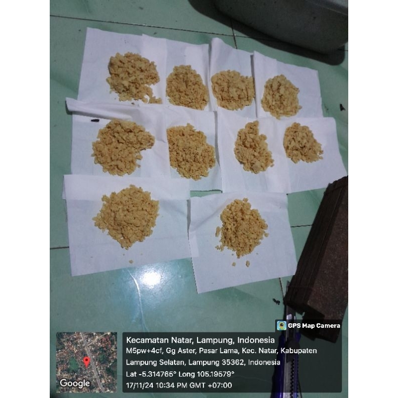 Telur bsf murah, Telur lalat bsf, telur magot