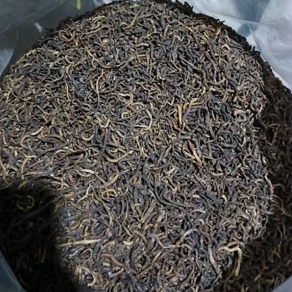 CACING KERING ANC CACING TANAH MERAH